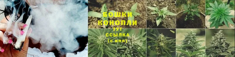 блэк спрут как зайти  Неман  Бошки Шишки Ganja 